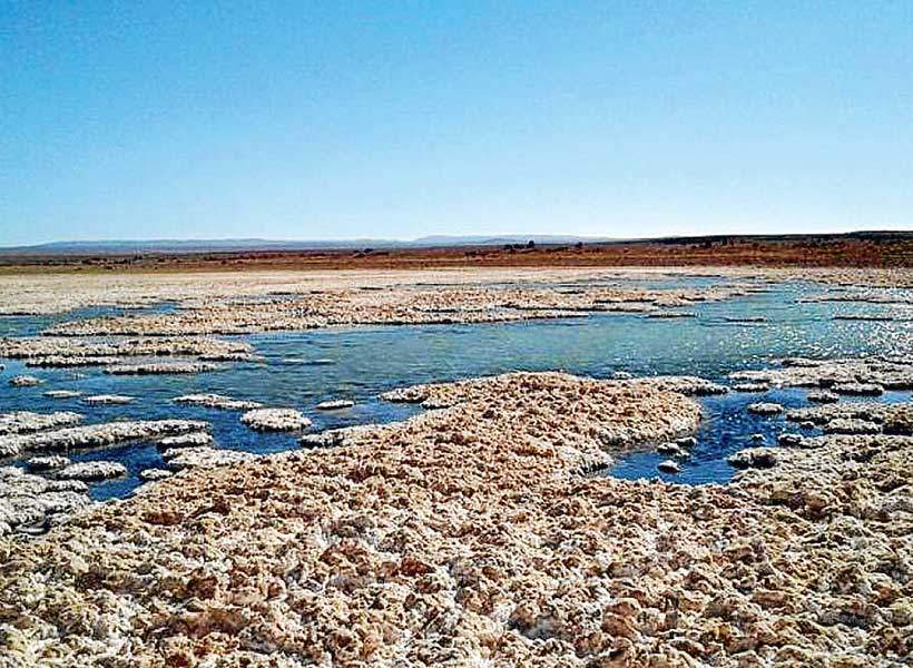 Rechazan plan ambiental de empresa norteamericana que pretende explotar 42.500 toneladas de litio anuales