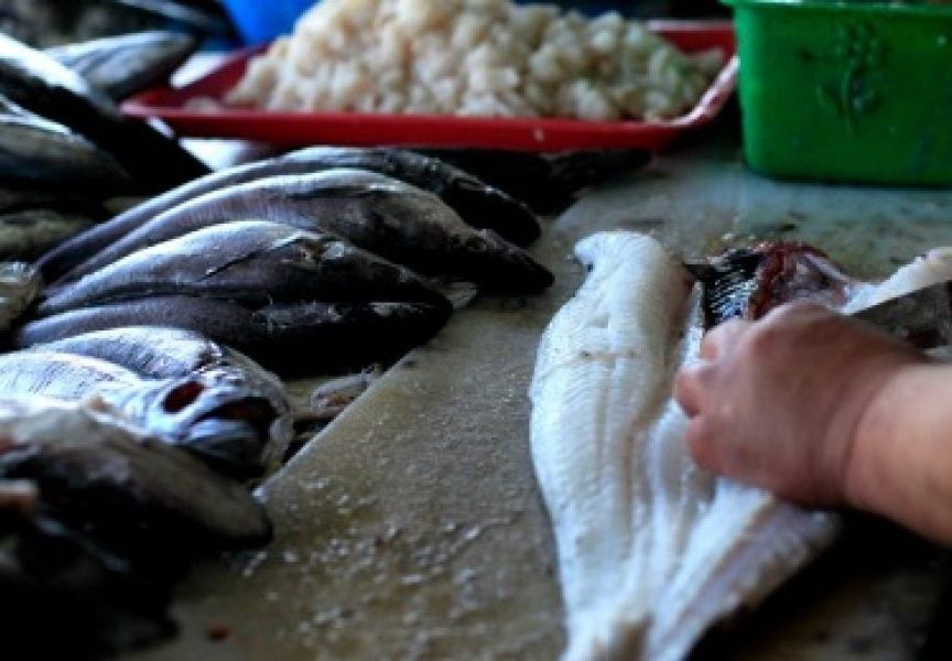 Organizaciones llaman a la Subsecretaría de Pesca a reactivar comité de manejo de la merluza común