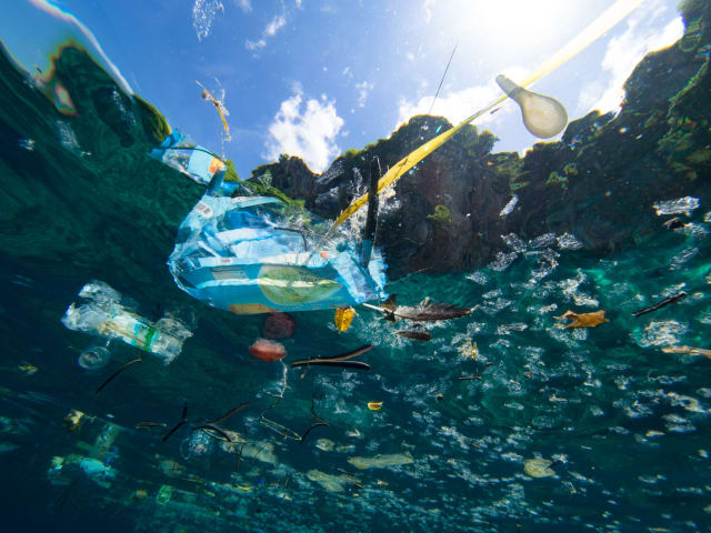 Algunos datos alarmantes sobre la contaminación del plástico