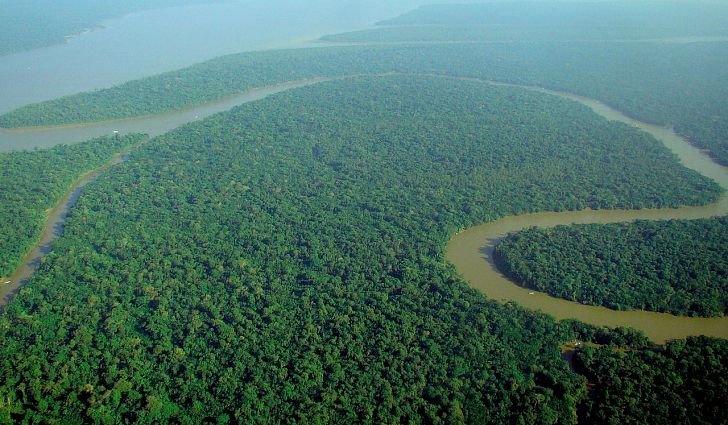 Las selvas más peligrosas del mundo y ecosistemas más imponentes de la humanidad