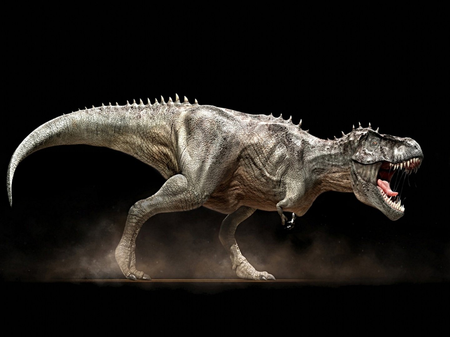 Italia descubre el dinosaurio carnívoro más antiguo del jurásico