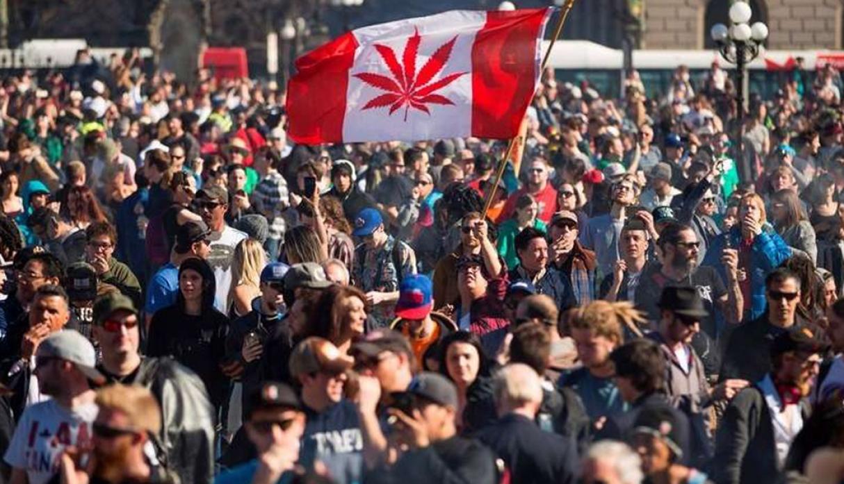 Nueva Zelanda se suma a países que legalizan la marihuana para uso medicinal