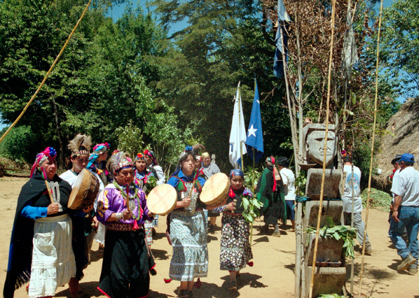 Comunidades mapuche de Pucón denuncian destrucción de sitio ceremonial: “Tenía impactos de perdigones”