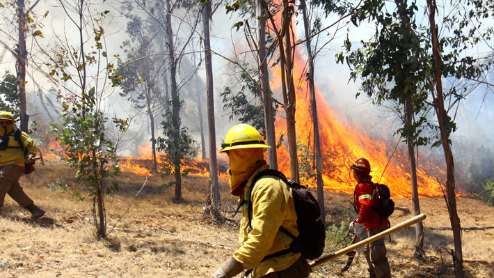 Condenan a ejecutivos de empresa eléctrica a compensar a víctimas de incendios forestales en El Maule
