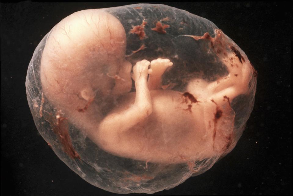 Un embrión humano en Marte sufriría mutaciones por la radiación cósmica