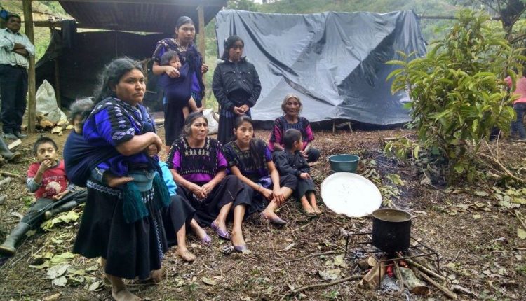 (Video) Autoridades destruyen 9 campamentos de indígenas desplazados en Chiapas