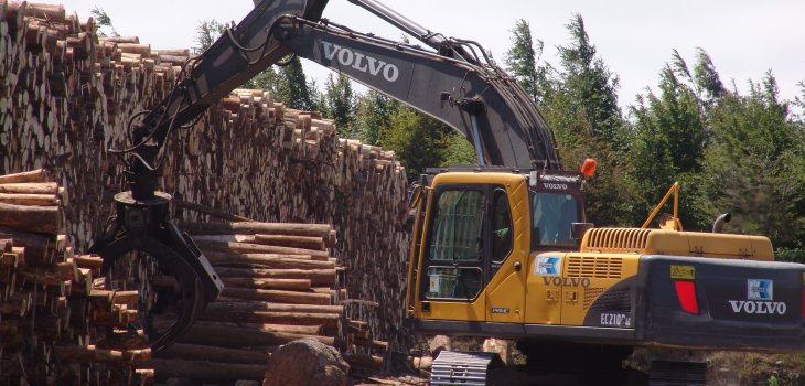 La Araucanía: 160 trabajadores afectados por quiebra de empresa que prestaba servicios a forestal Mininco