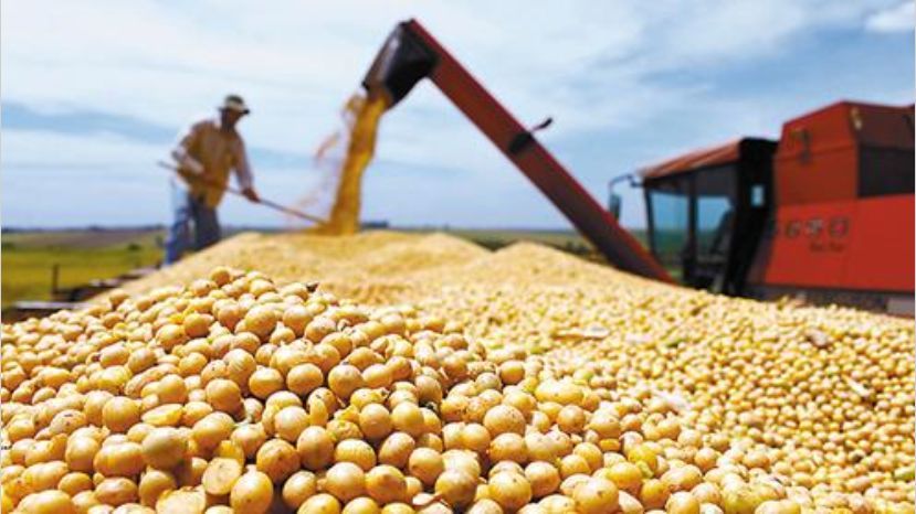 La exportación de alimentos es el “pilar” que mantiene a Argentina en el G20