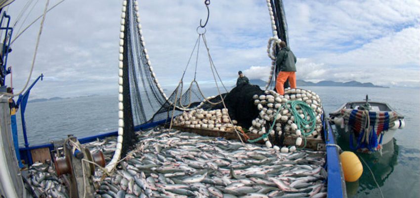 Científicos descubren que la pesca de arrastre contribuye al aumento de CO2 en la atmósfera