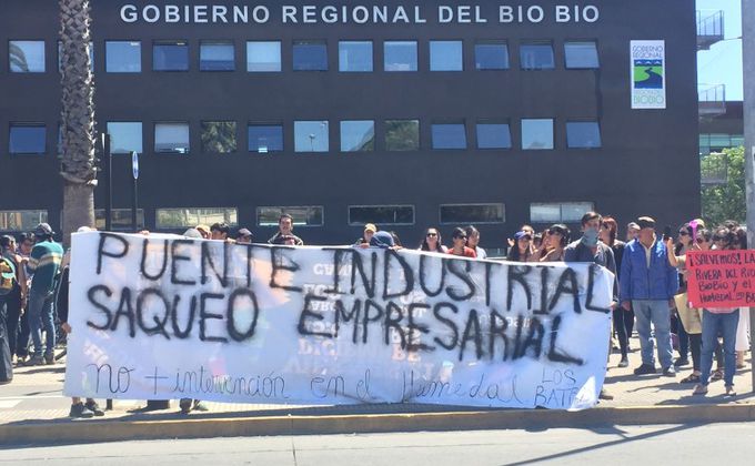 Bío Bío: Denuncian que proyecto aprobado de Puente Industrial afecta a humedal Los Patros