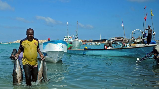 Somalia ha otorgado 31 licencias a la Asociación de Pesca de Ultramar de China