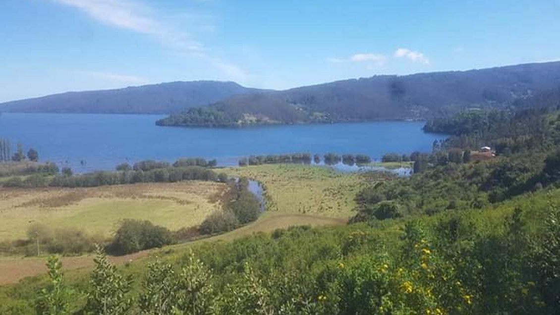 Grupo Angelini devolverá 97 hectáreas a comunidad mapuche Ignacio Huilipán de Contulmo