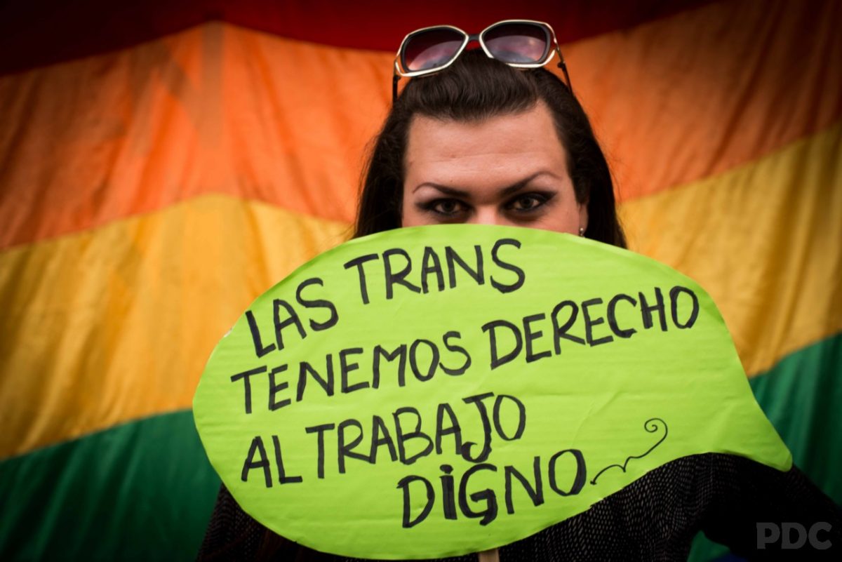 Concejal RN trata como «animales» a personas trans: El resto del Concejo lo celebra