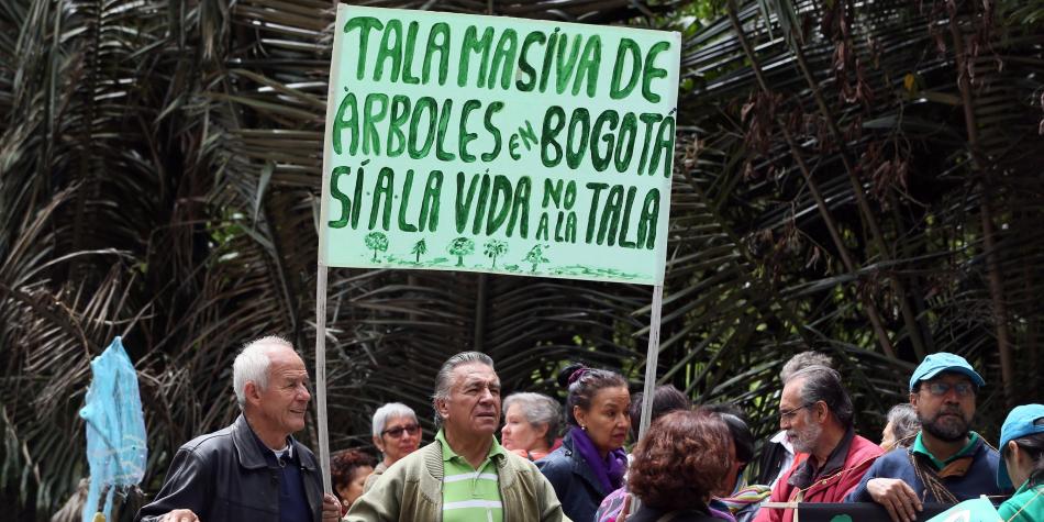 Tala masiva de árboles en Bogotá enfrenta a vecinos con las autoridades