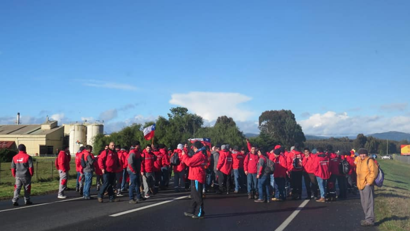 187 trabajadores de Salmofood inician huelga y acusan propuesta “indigna” de la empresa