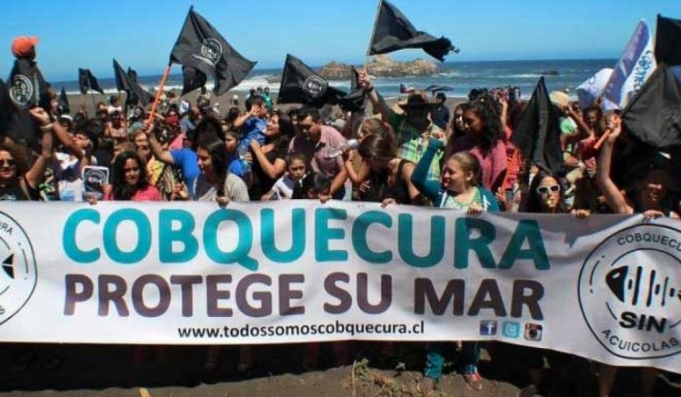 Industria salmonera sufre nueva derrota en Cobquecura: unánime rechazo a segundo proyecto
