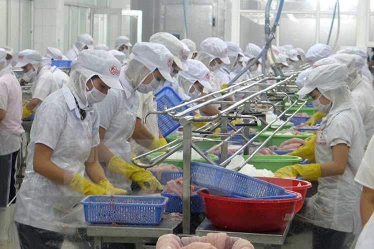 Economía de Vietnam se consolida con la exportación de productos marinos y acuíferos