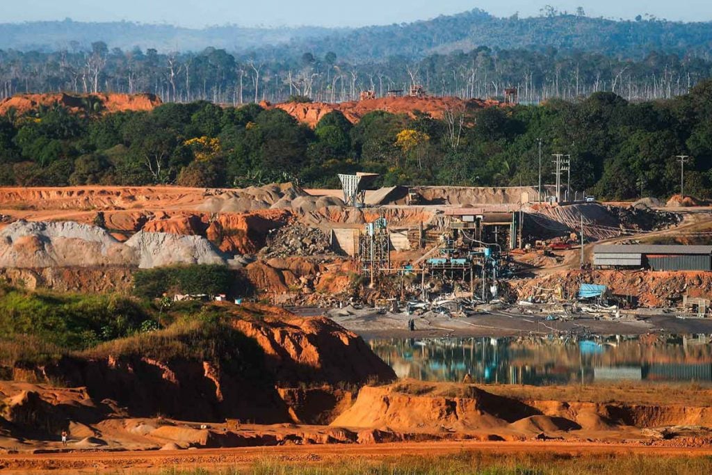 Amazonas depredación