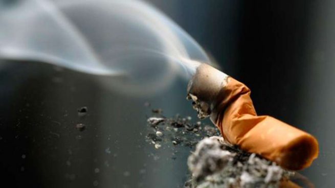 La OMS advierte que el tabaco también es dañino para el medio ambiente