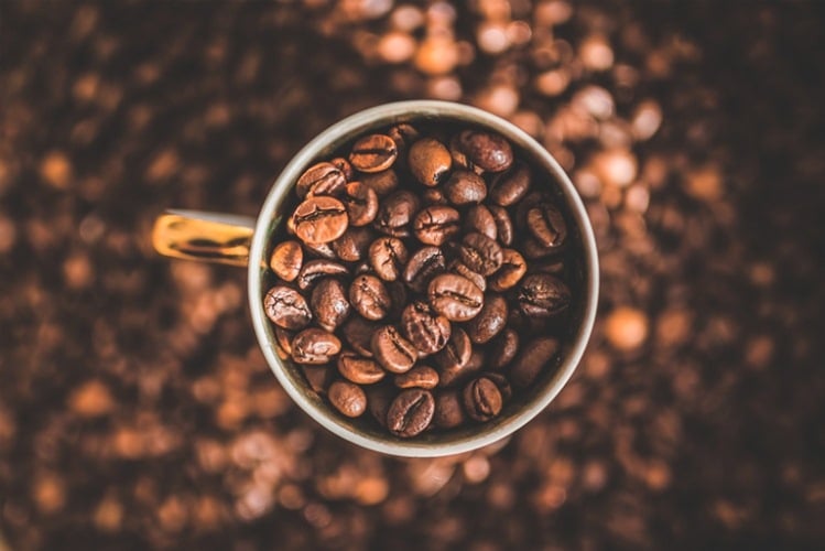 La mayoría de las especies de café están bajo amenaza de extinción