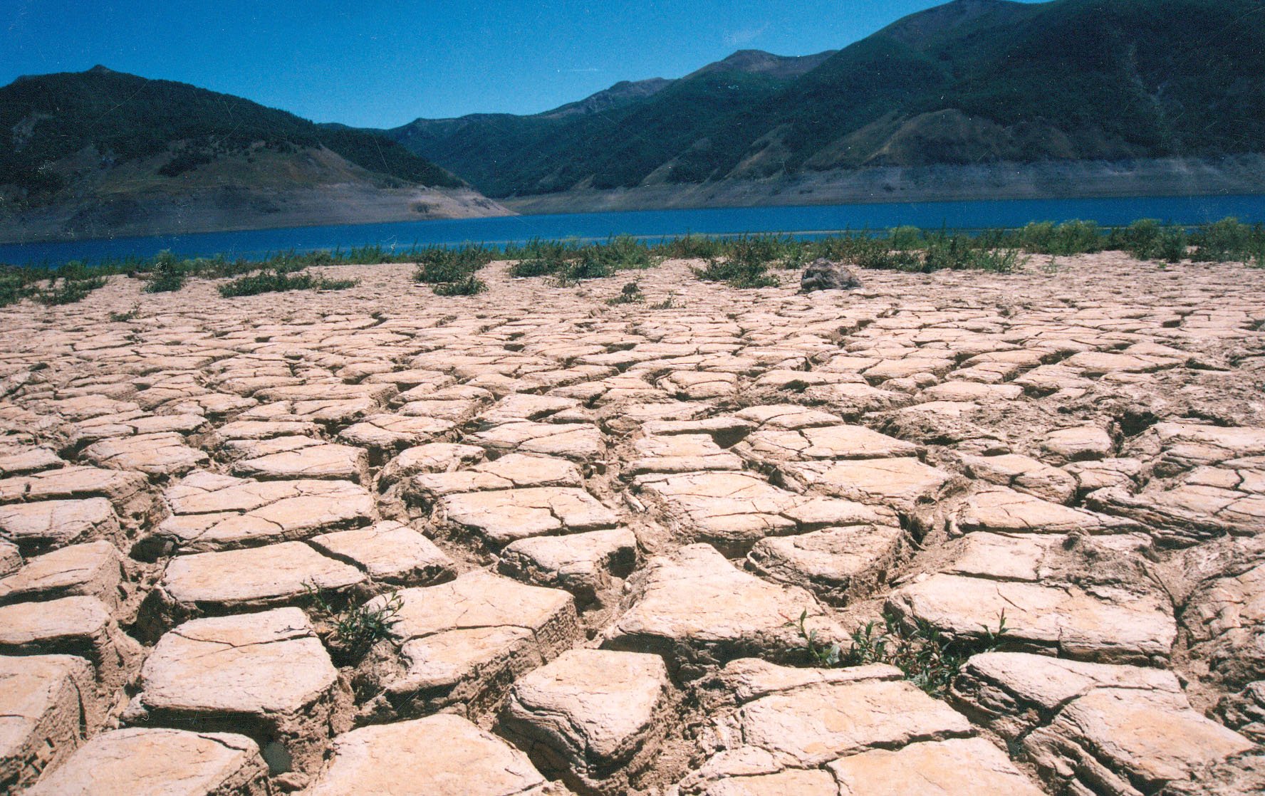 Senado rechazó proyecto que garantiza el agua como un bien de uso público