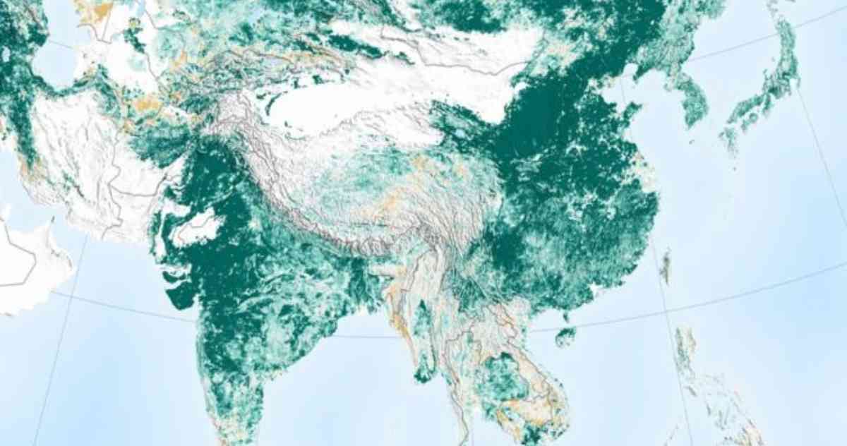 (Video) Fotos de la NASA muestran que regiones de China e India recuperan zonas verdes