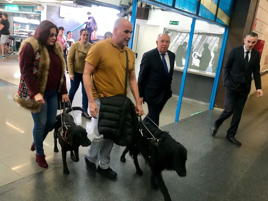 Los perros podrán viajar tranquilos en el transporte público en Madrid