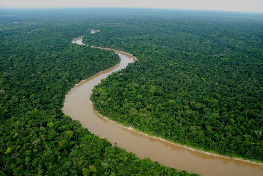 Exigen anular concesiones forestales en Reservas Indígenas peruanas