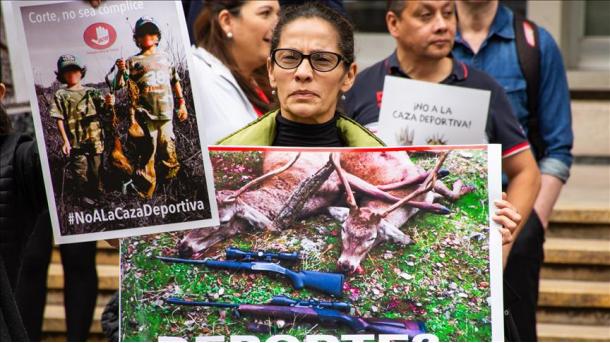 (Video) Prohibida la caza deportiva de animales en Colombia