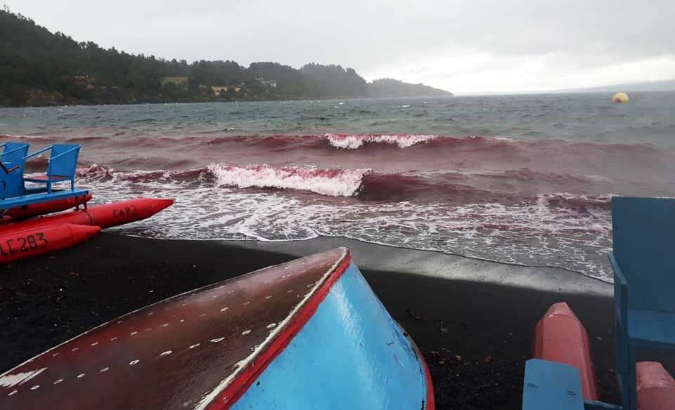 Acusan a actividad deportiva de manchar con pintura orilla del Lago Villarrica