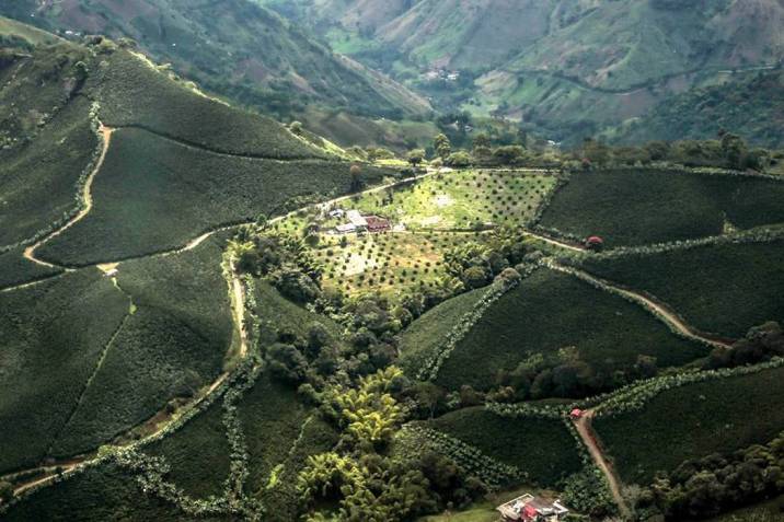 Limitaciones legales entorpecen el desarrollo agropecuario en Colombia