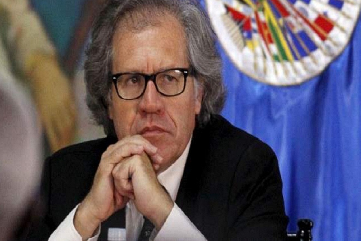 Indígenas ecuatorianos denuncian mala gestión de Luis Almagro en la OEA