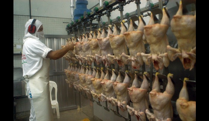 La millonaria condena a Walmart, Cencosud y SMU por la «colusión de los pollos»