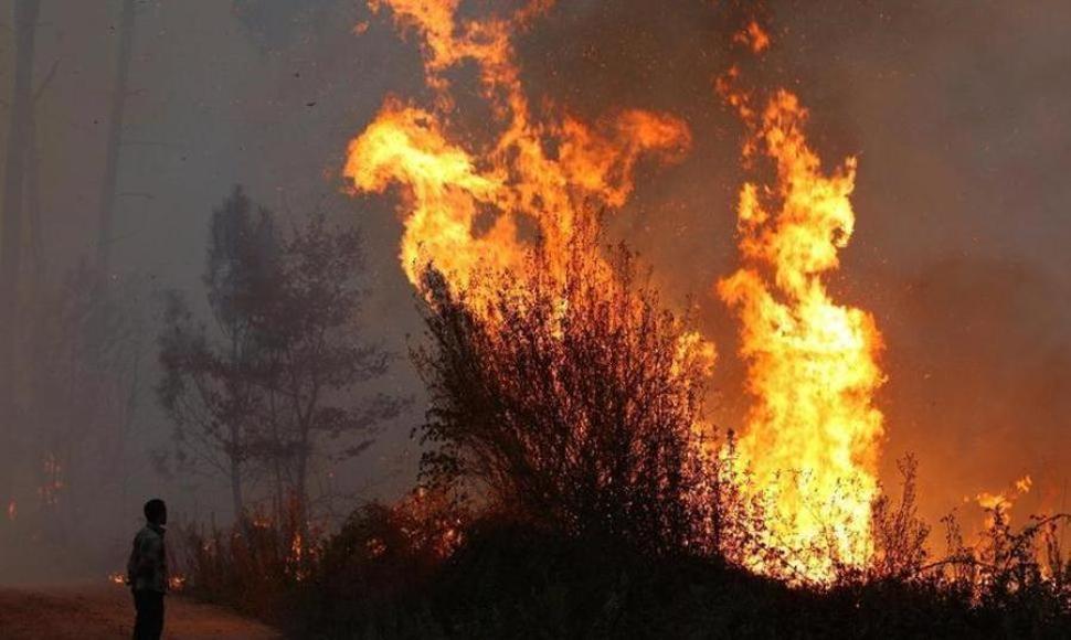 Conaf señala que «no hay ley» que asigne recursos para reforestar después de un incendio