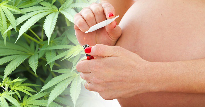 Pediatras sugieren dejar de consumir marihuana durante el embarazo