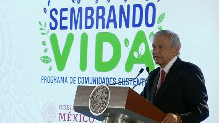 México: programa Sembrando Vida creará 200 mil nuevos empleos