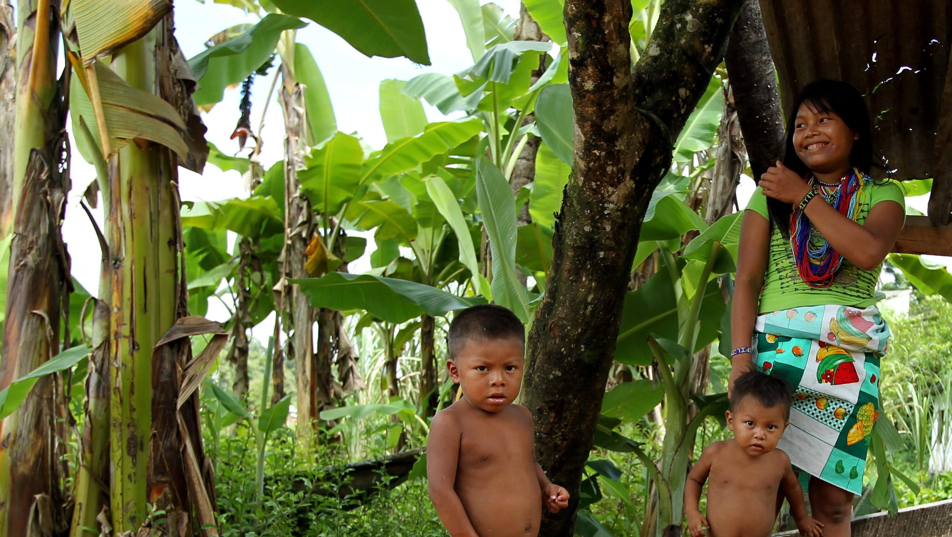 Cuatro niños indígenas colombianos mueren por el confinamiento en Chocó