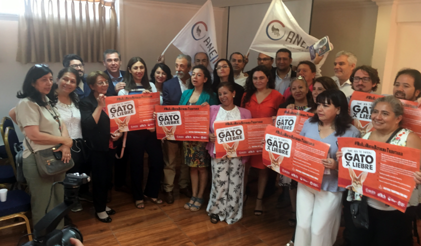 “Que no te pasen gato por liebre”: Lanzan campaña contra reforma tributaria de Piñera