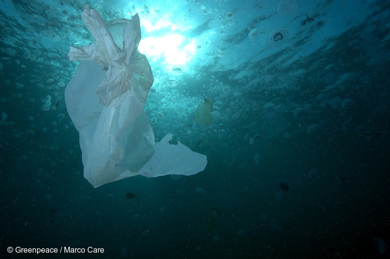 Investigación alerta que el plástico ya llegó a las mayores profundidades del mar