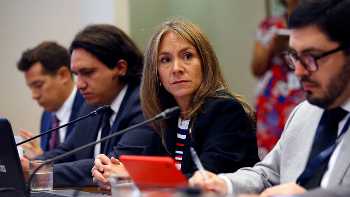 Ministra de Energía dice que quienes se nieguen a cambiar medidores igual deberán pagar