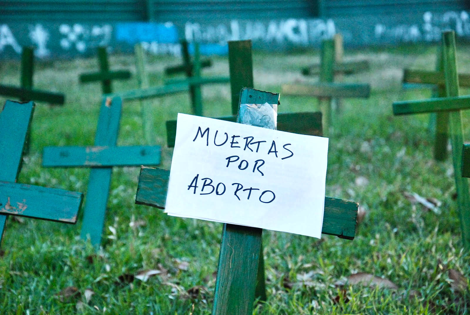 Mujer argentina muere tras practicarse un aborto con una rama de perejil