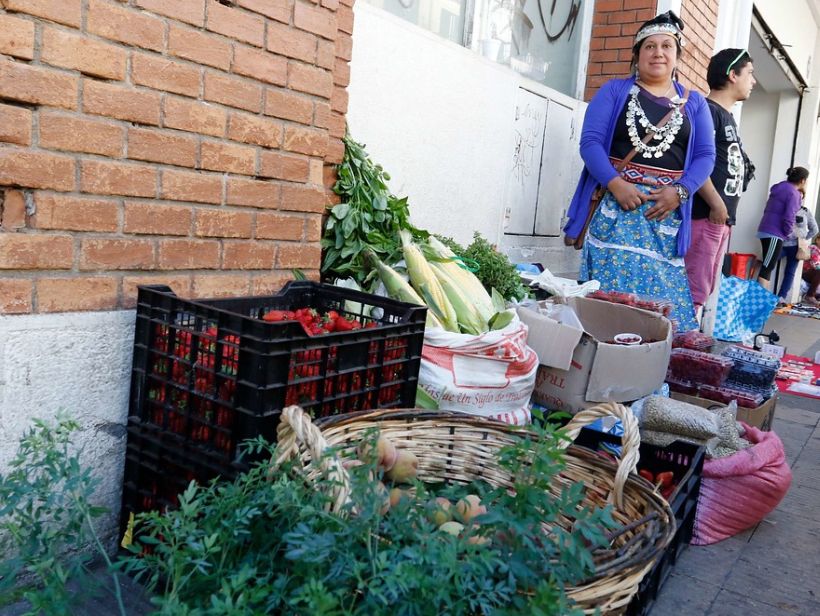 Justicia: Municipio de Temuco no puede expulsar a hortaliceras mapuche de avenida Pinto