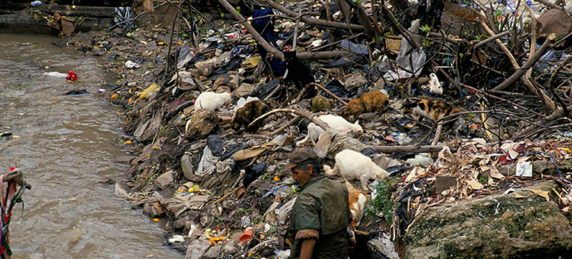 Degradación del medio ambiente provocará millones de muertes prematuras