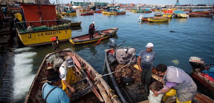 Pescadores artesanales denuncian campaña de despidos masivos por parte de la industria pesquera