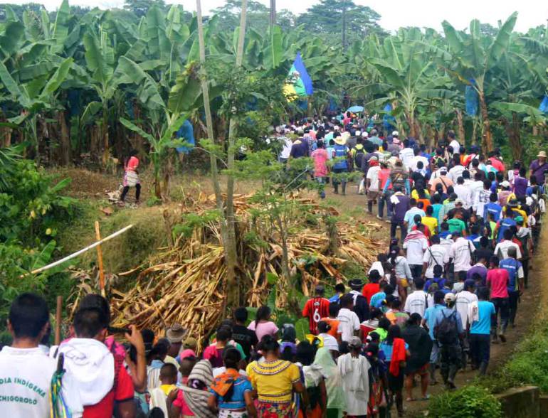 (Video) Amnistía Internacional  pide protección urgente para 7.000 civiles en el Chocó