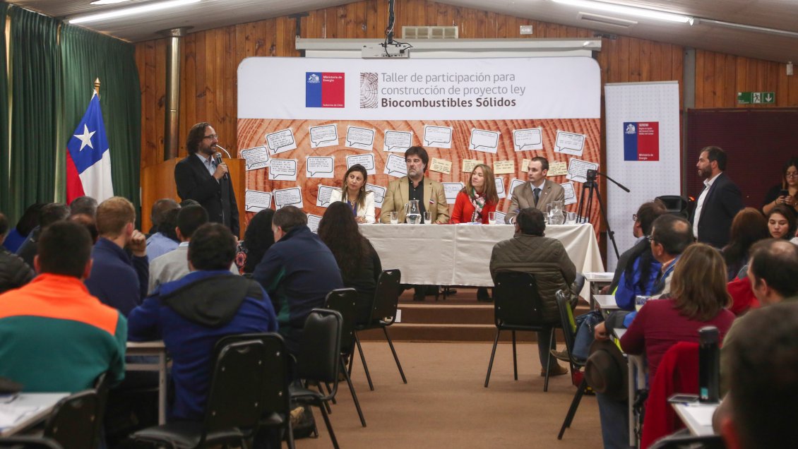 Aysén: Leñeros presentaron sus reparos al proyecto de ley de biocombustibles sólidos