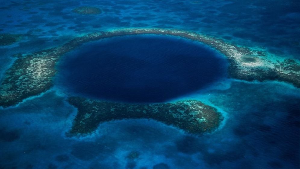 Descubren una bacteria que devora el petróleo en la fosa de las Marianas