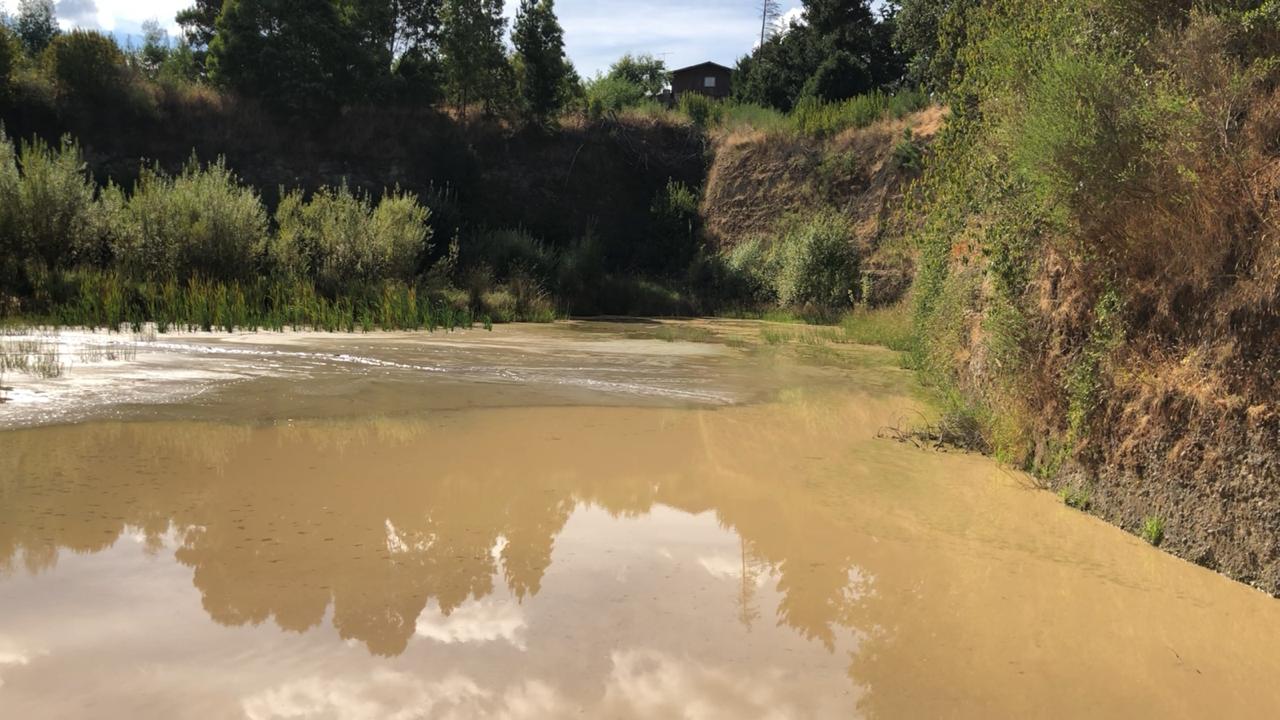 Difunden antecedentes del origen probable de la contaminación en el río Bueno