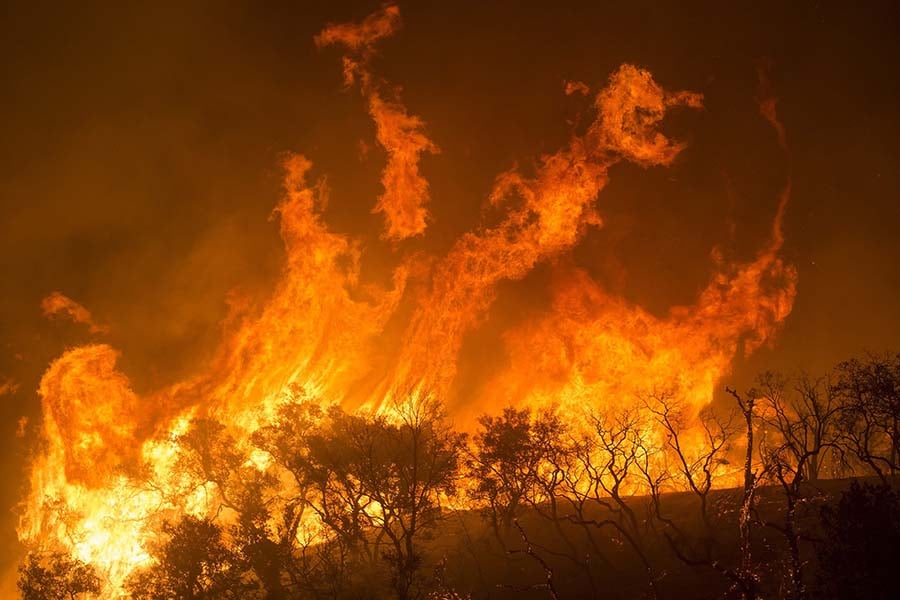 Bomberos logran controlar incendio forestal en suroeste de China