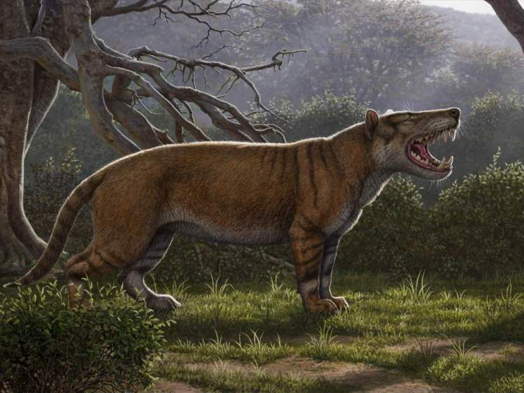 Descubren una especie extinta de gran mamífero carnívoro en Kenia